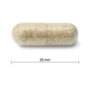 Jamieson Echinacea High Potency 120 Caplets - Maple House Nutrition Inc.