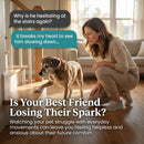 Purica Pet Recovery Extra Strength 120 Chewable Tablets