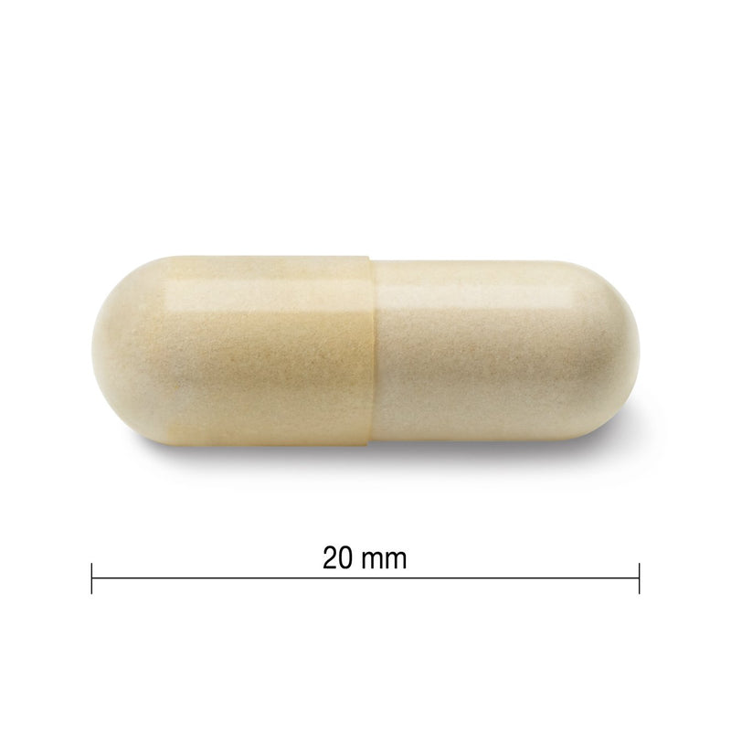 Jamieson Glucosamine 500mg Regular Strength 360 Caplets - Maple House Nutrition Inc.