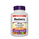 Webber Naturals 伟博蓝莓精华120粒素食胶囊